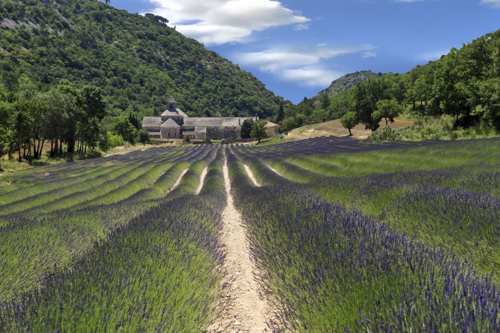 Abbaye de Senanque
