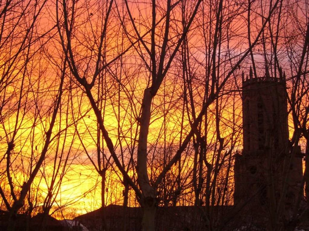 la cathédrale d'aix au petit matin