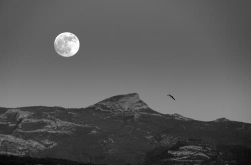 Vue de cantini vers les collines