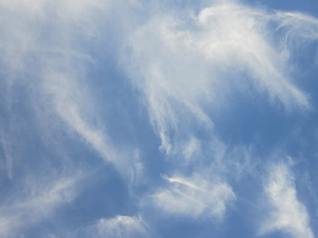 Ailes d'Anges