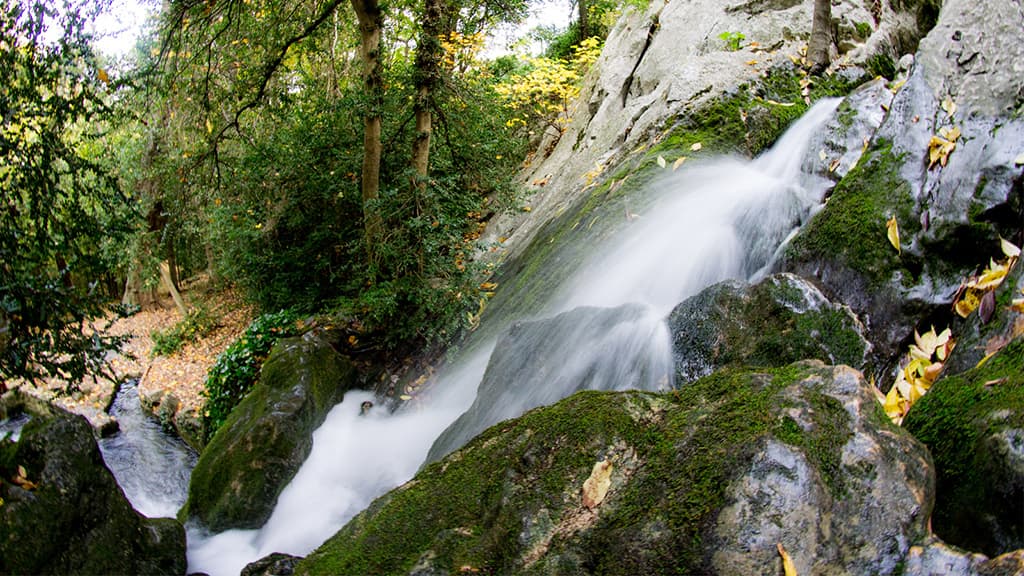 La Source