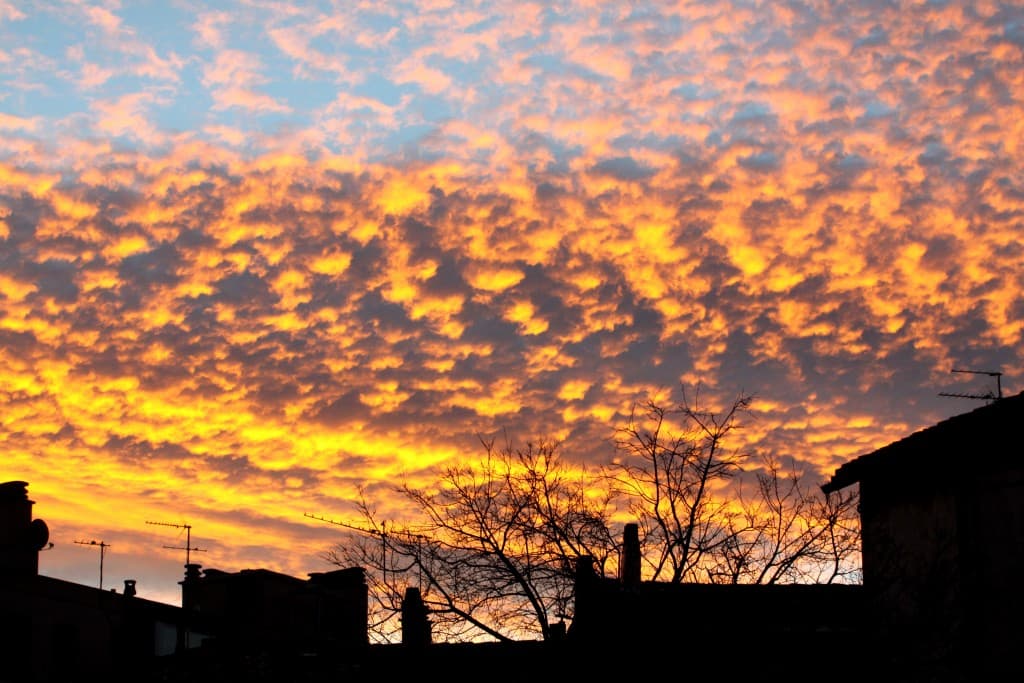 matin d'hiver