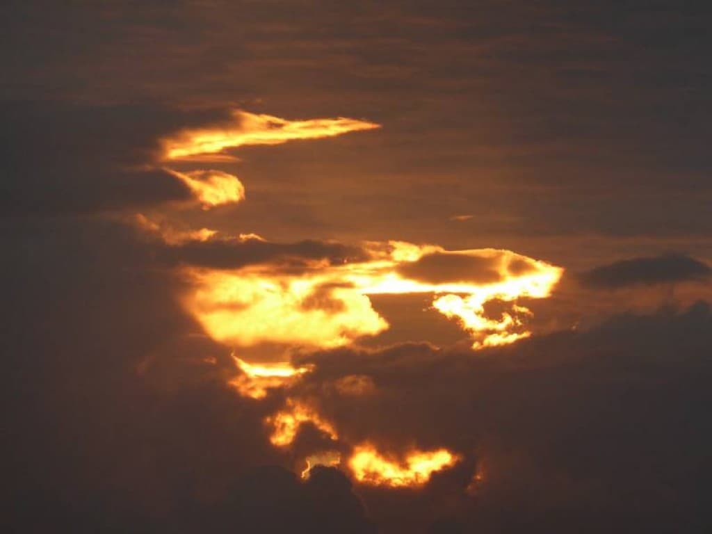 monstres de feu