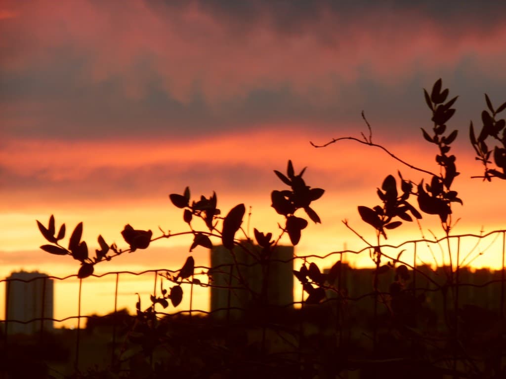 coucher de soleil
