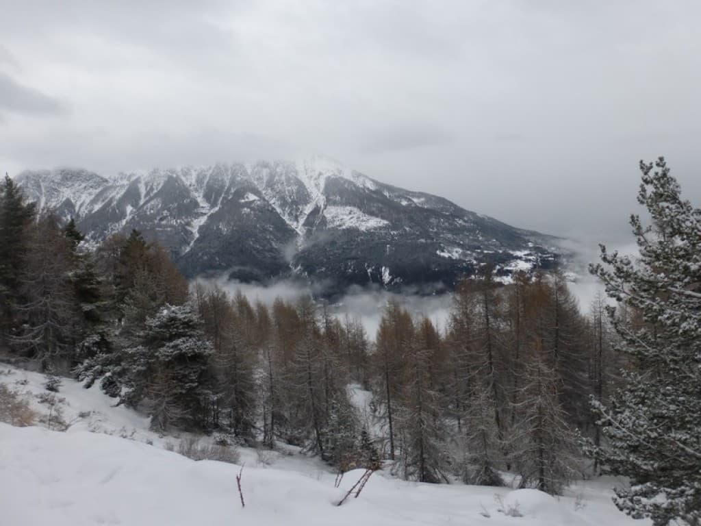 samedi neigeux