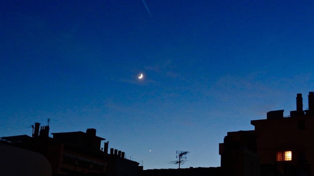 18:10 Un mistral domestiqué (G@tto)