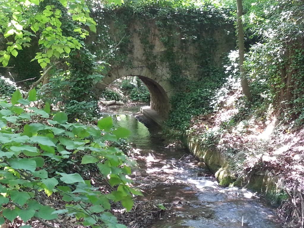 Ah, que la vie est belle!..