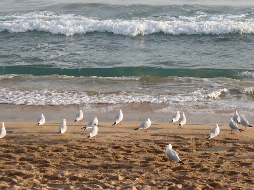 la croisette