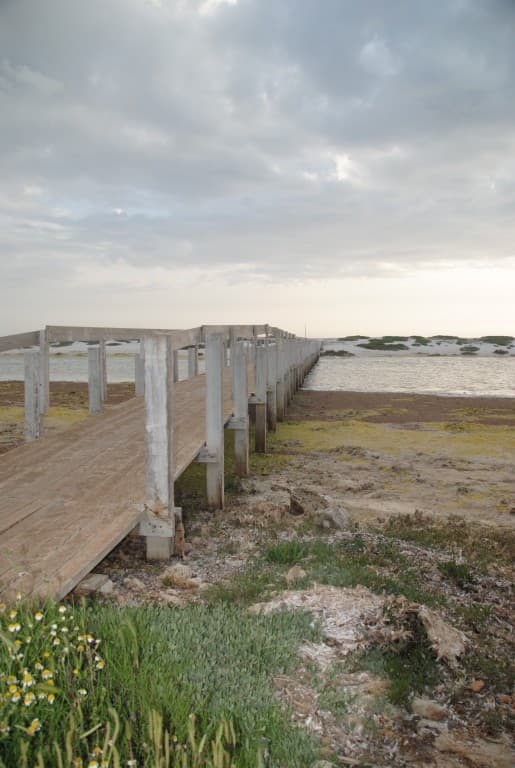 le pont