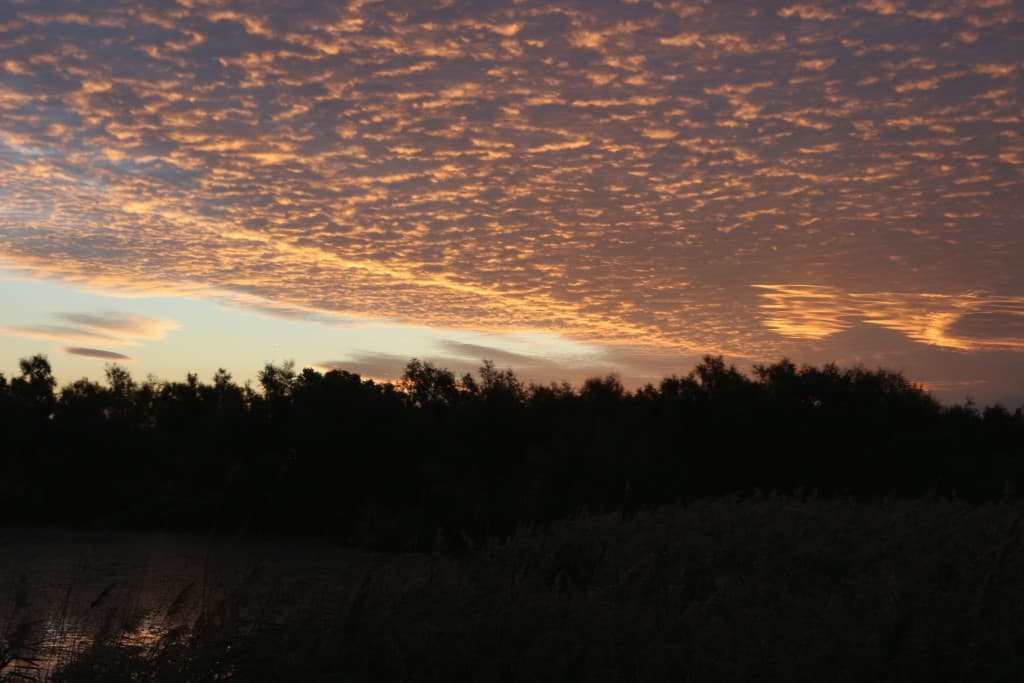 Lever de soleil sur les étangs de Camargue