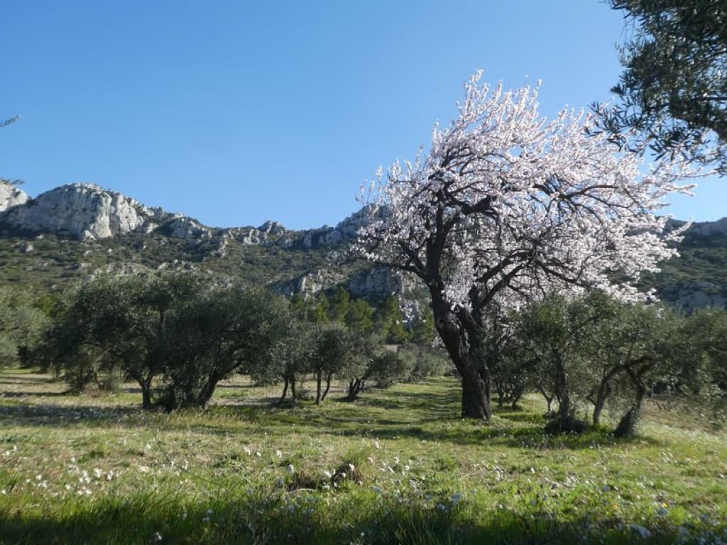 paysage idéal
