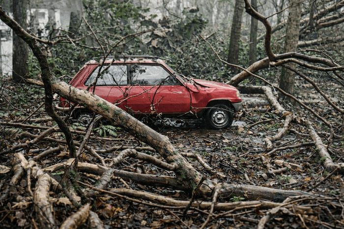 La tempête Goretti a-t-elle vraiment été si exceptionnelle ?