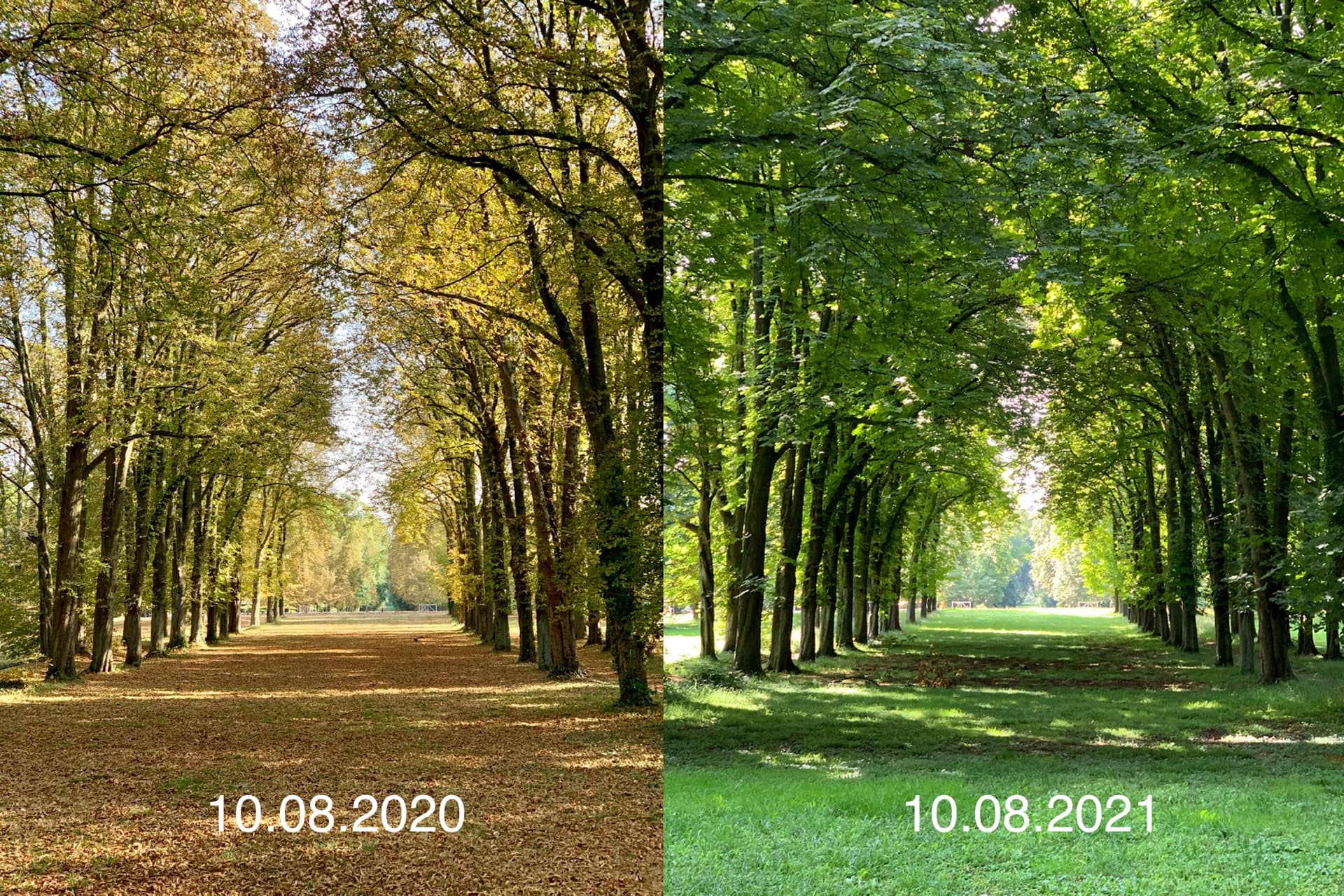 2021-vs-2020
