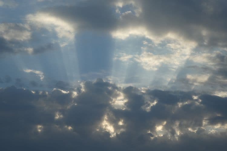 rayons