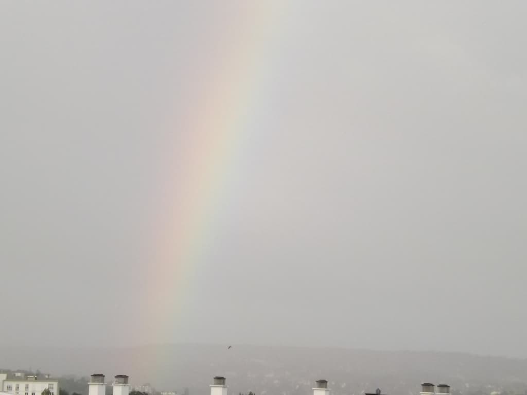 Arc-en-ciel matinal