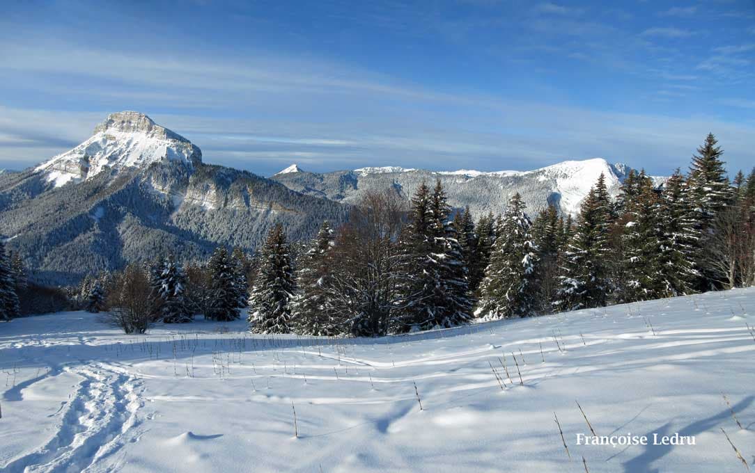 Neige abondante en Chartreuse