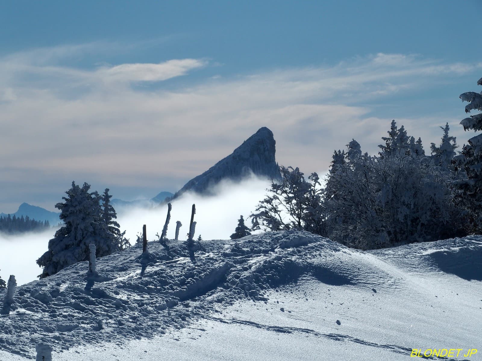 La Pinéa vue de l'Oratoire d'Orgeval