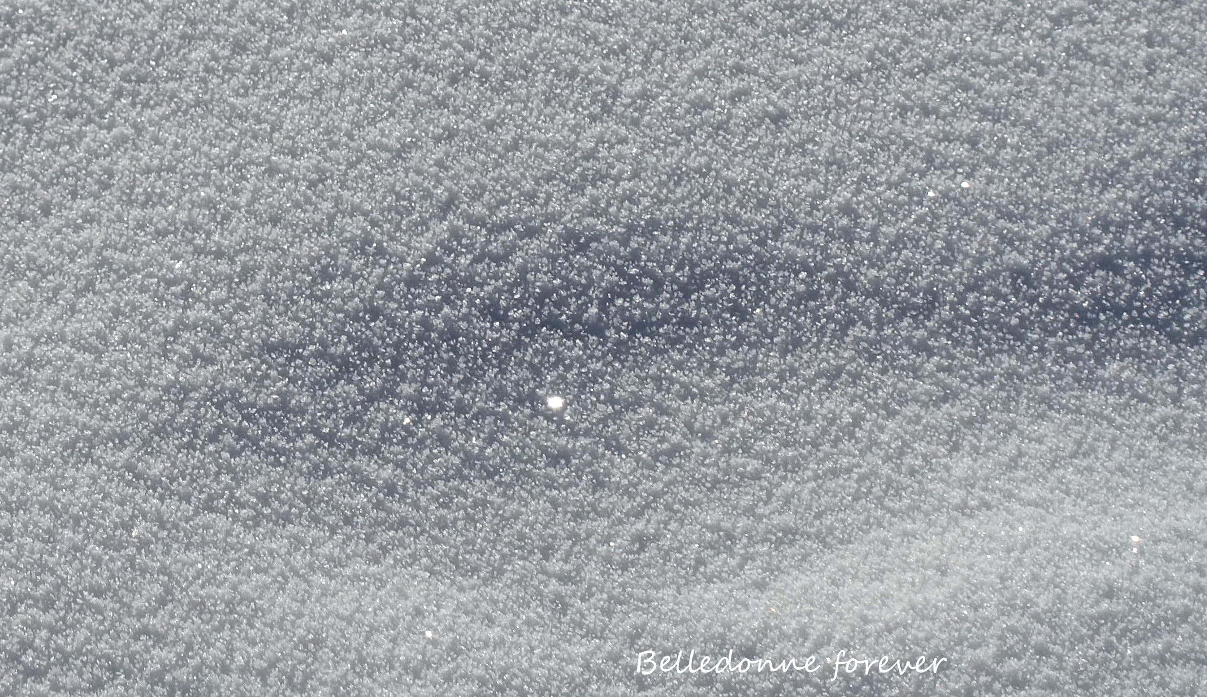 Multitudes de diamants ce matin  2 cm de poudre A.P.