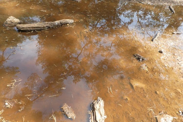 Flaque d'eau, restant de l'orage de mercredi 16 juin