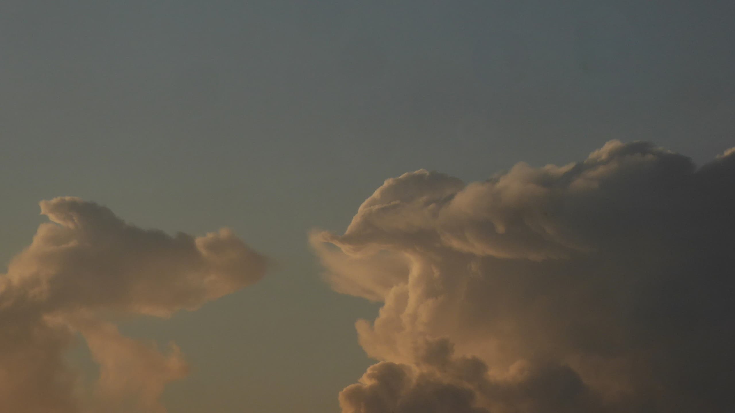 Nuage animal
