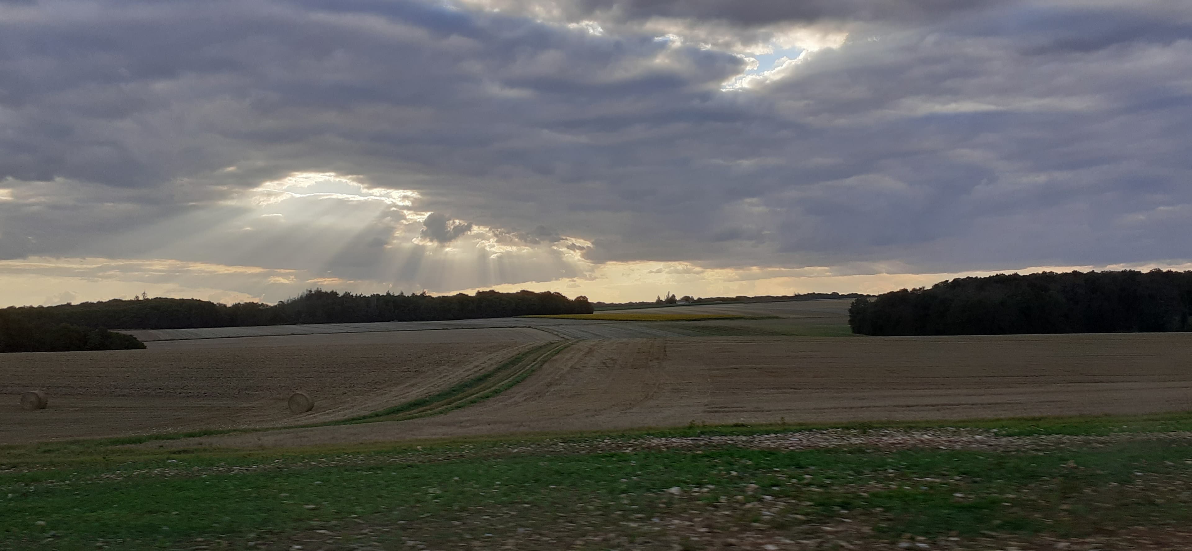 Série des champs