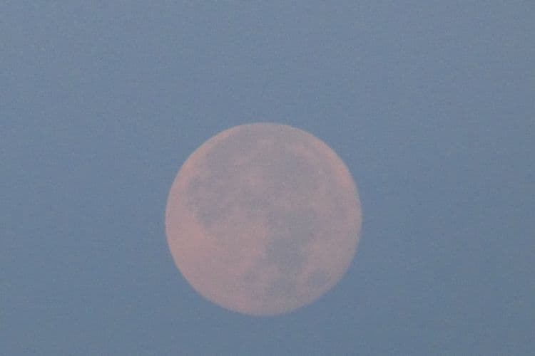lune rose de lundi à l'aube