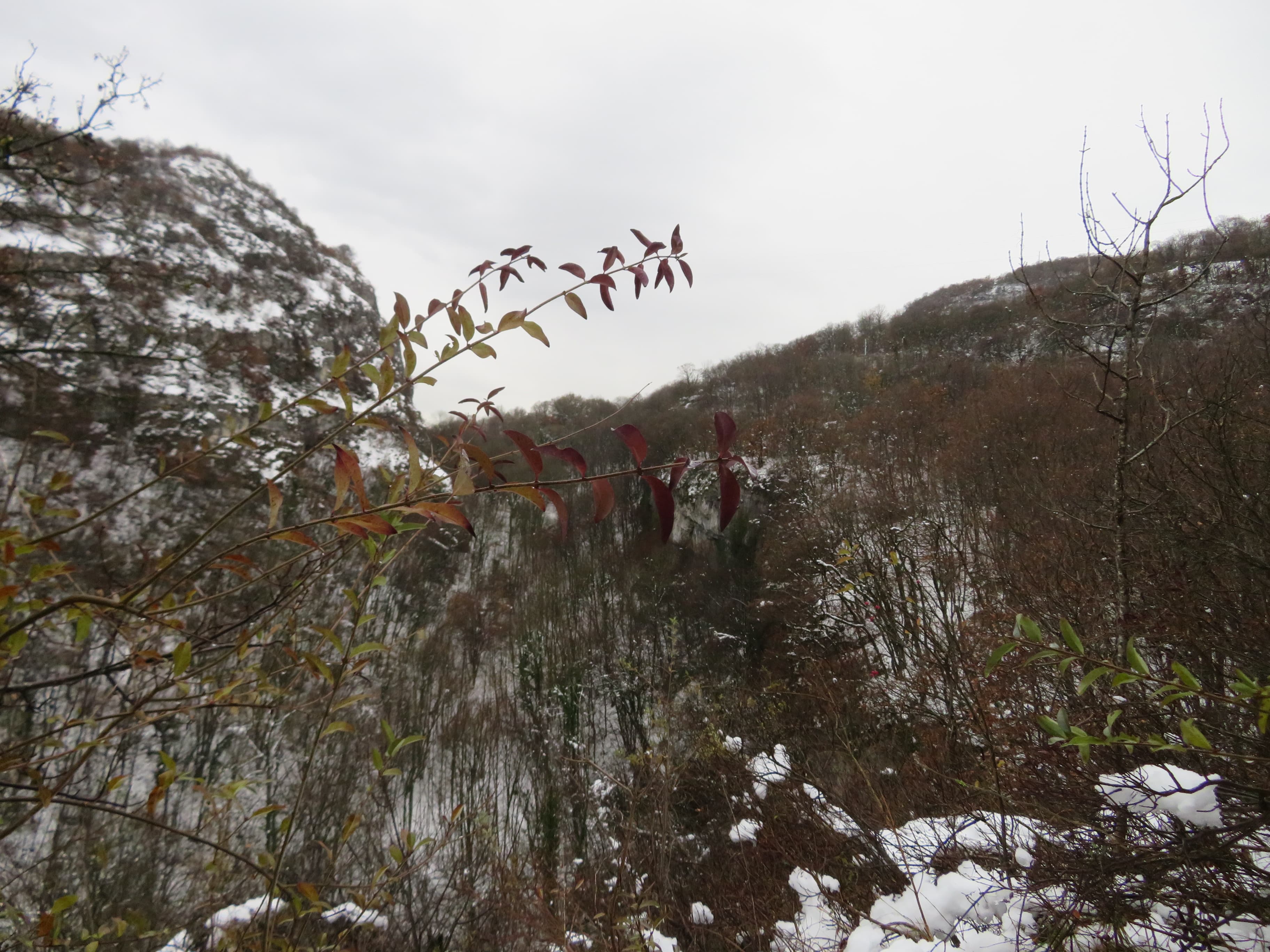 vue sur le désert de l'écureuil - Il pleut