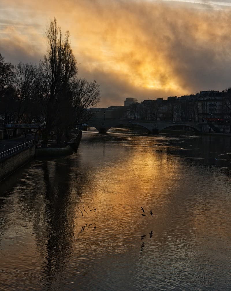 lever de soleil sur la Seine et l'Île-St-Louis