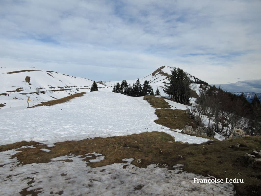 La neige a bien fondu