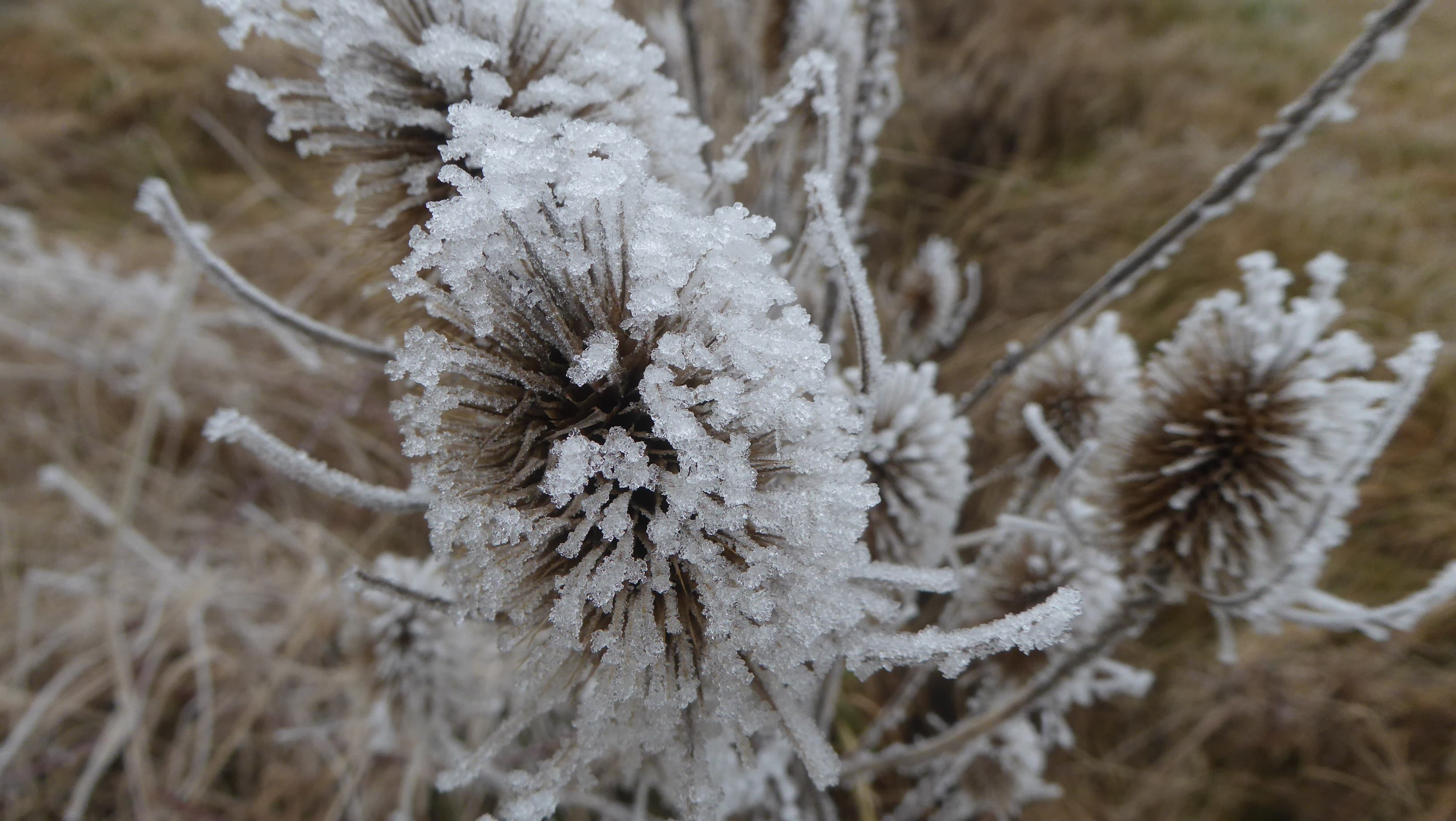 givre