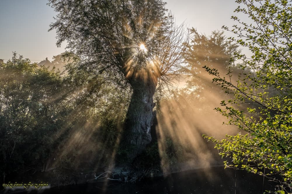 D'autres rayons