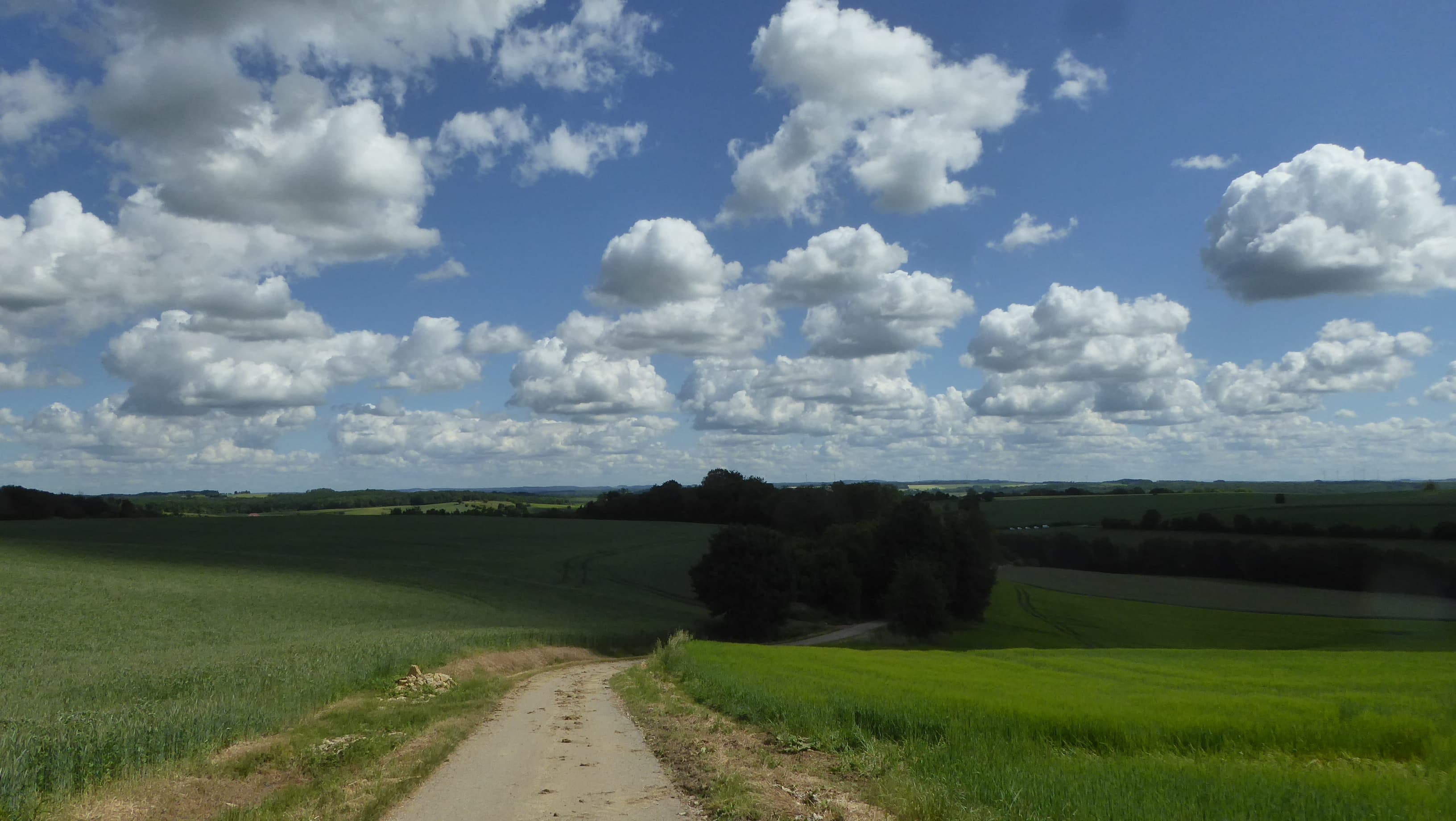 Cumulus de beau temps