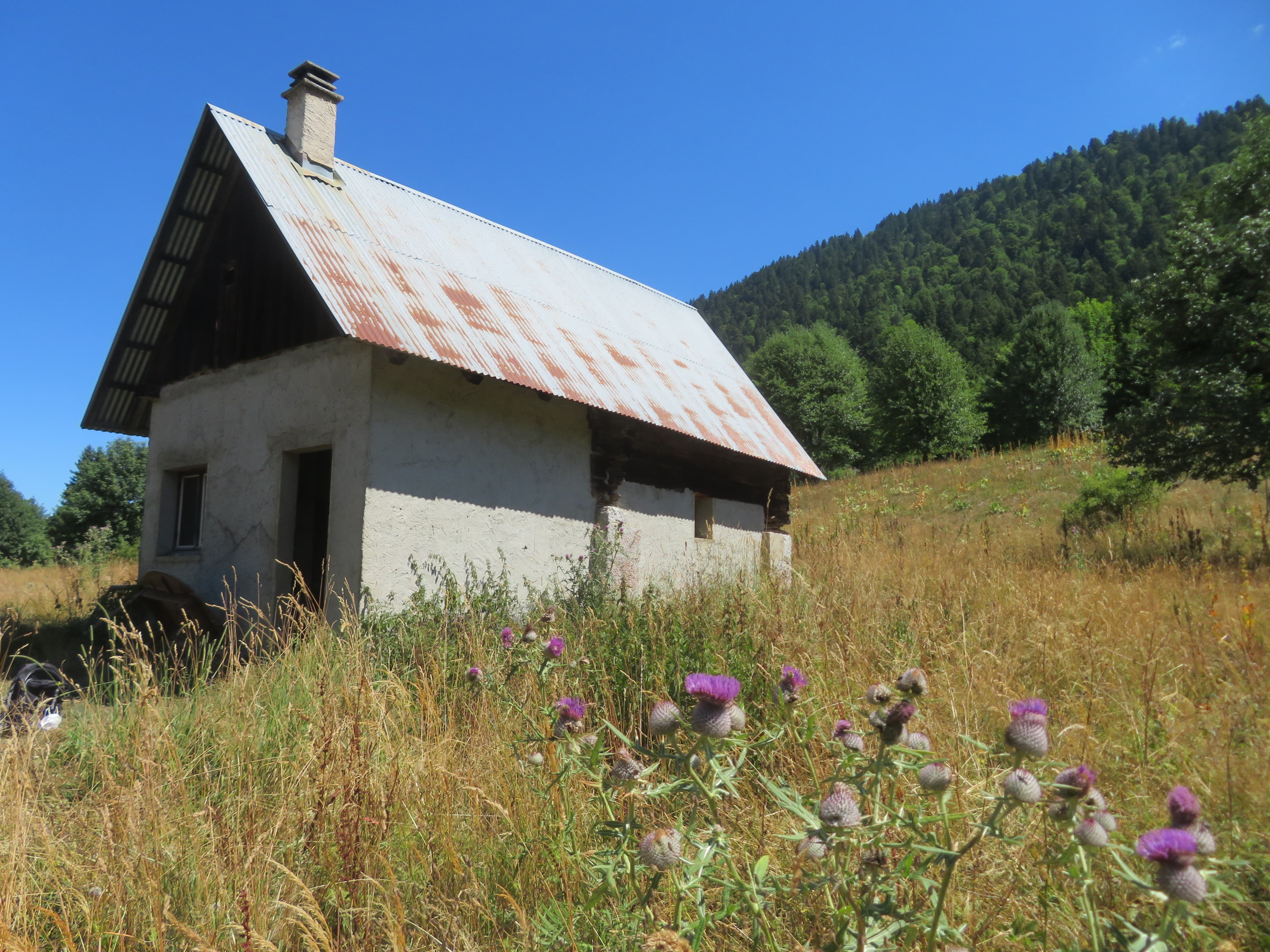 Cabane du Pleynon