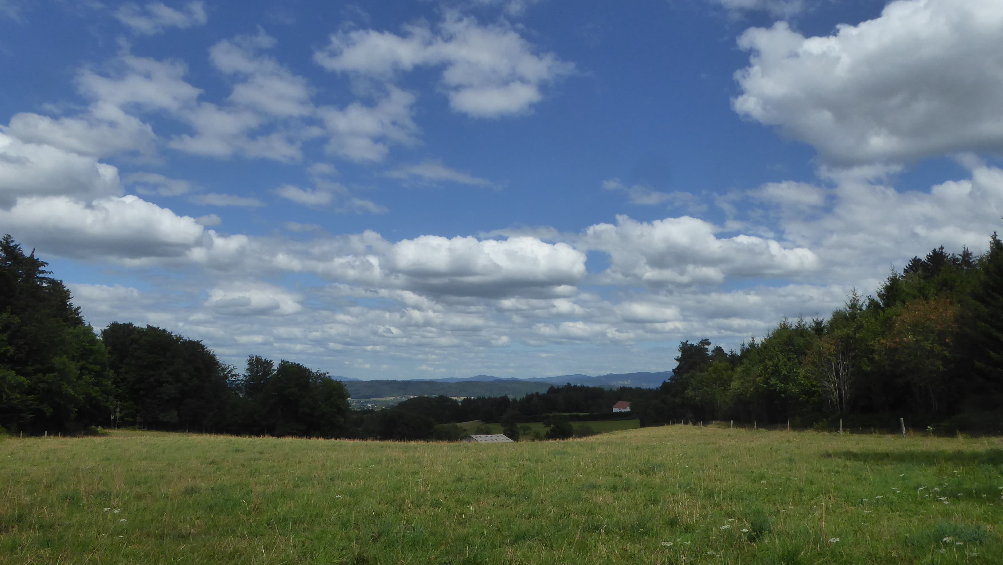 Cumulus de beau temps