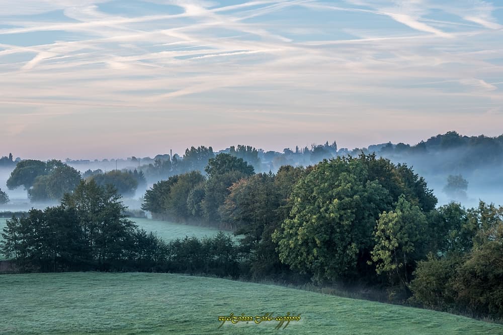 Automne "naissant"