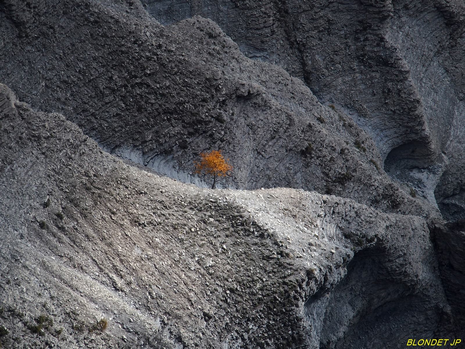 Détail de la vallée du ruisseau des Arches