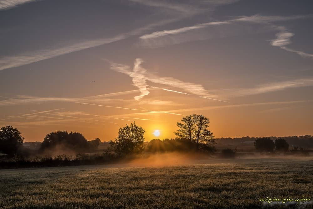La brume se révèle