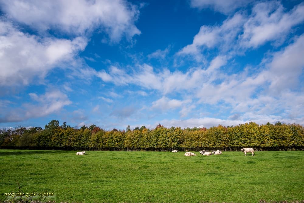 Le bel automne