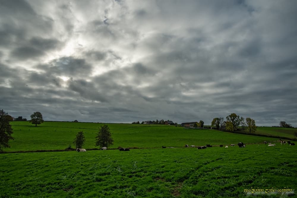 Ciel médiocre pour la petite éclipse (partielle)