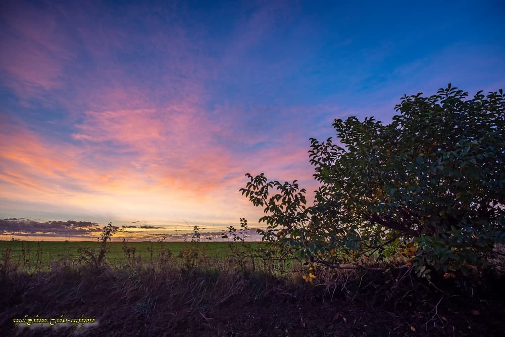 Couleur dans le bocage