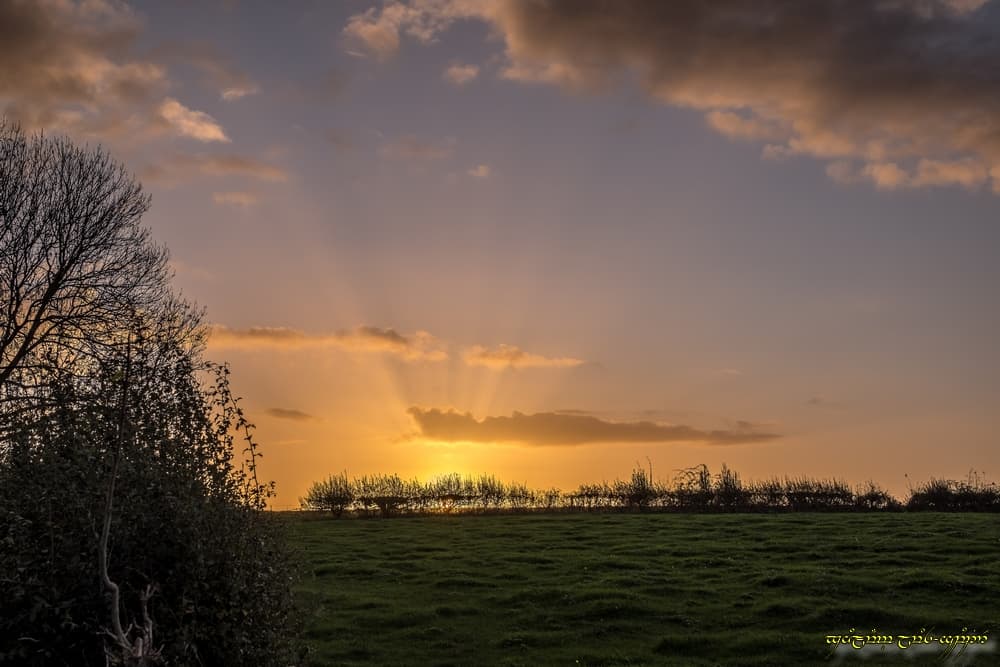 Quelques rayons colorés
