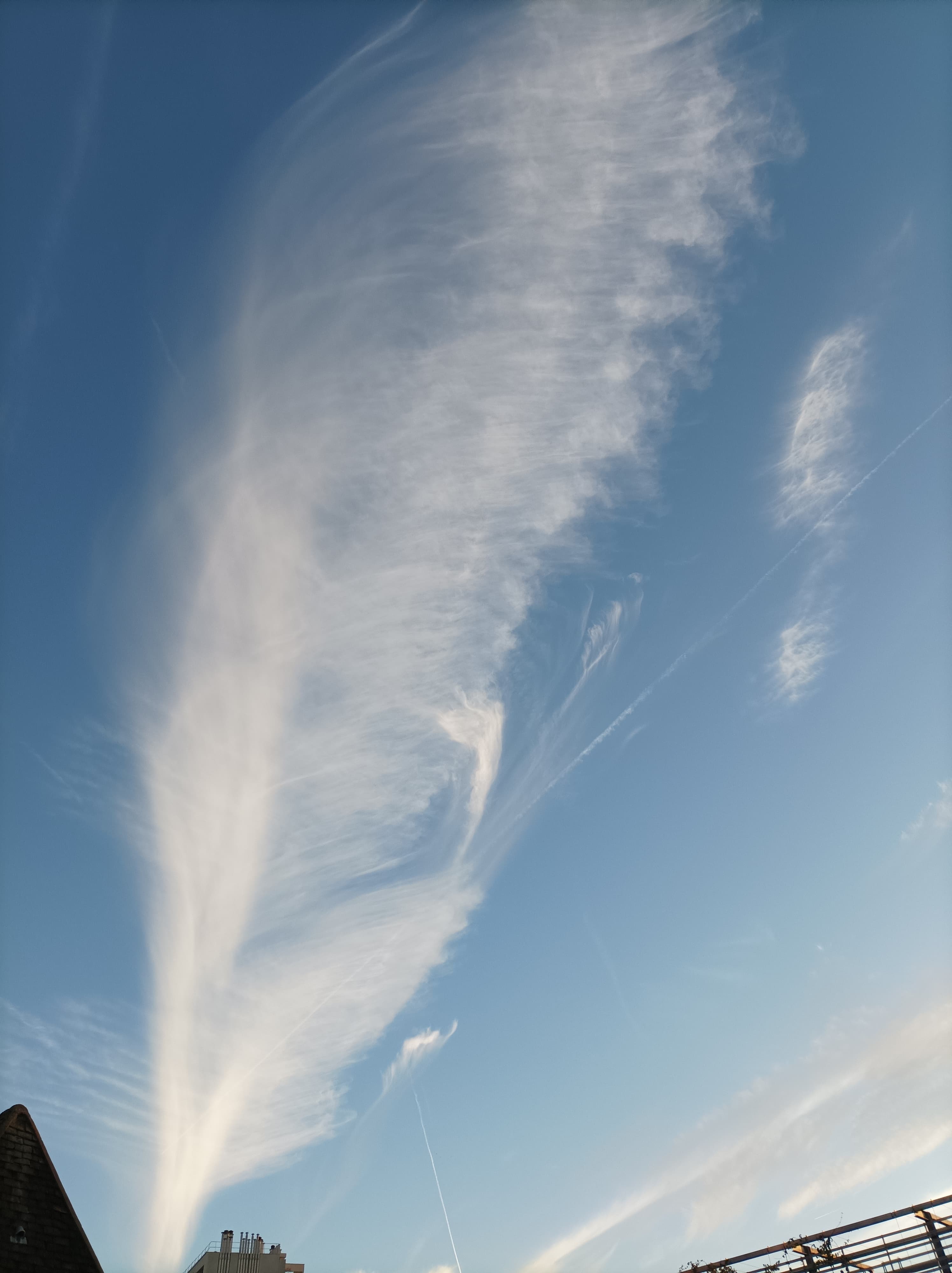 Nuage en forme de plume