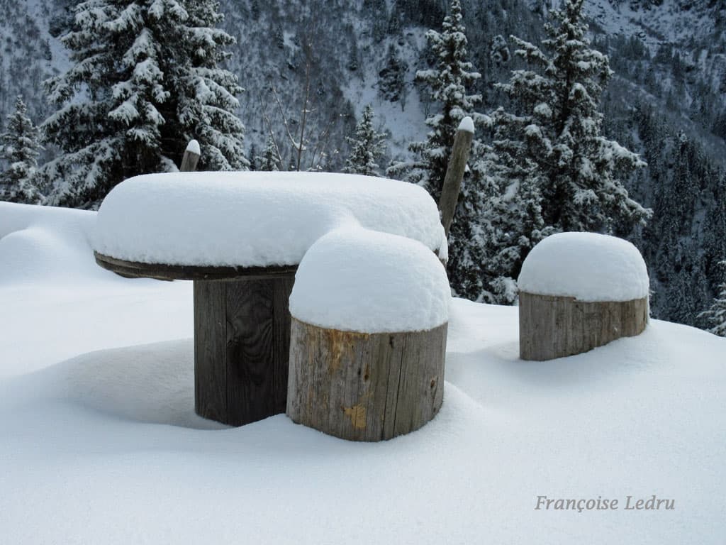 20 cm de neige vers 1700 m d'altitude