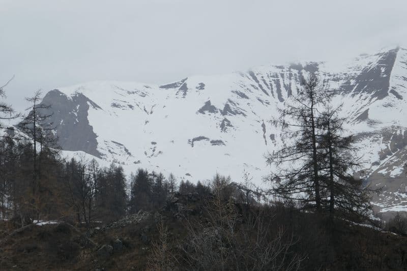 blanc sur blanc
