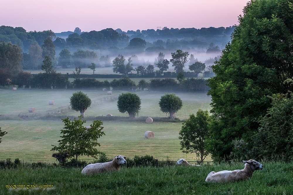 Brume en contrebas