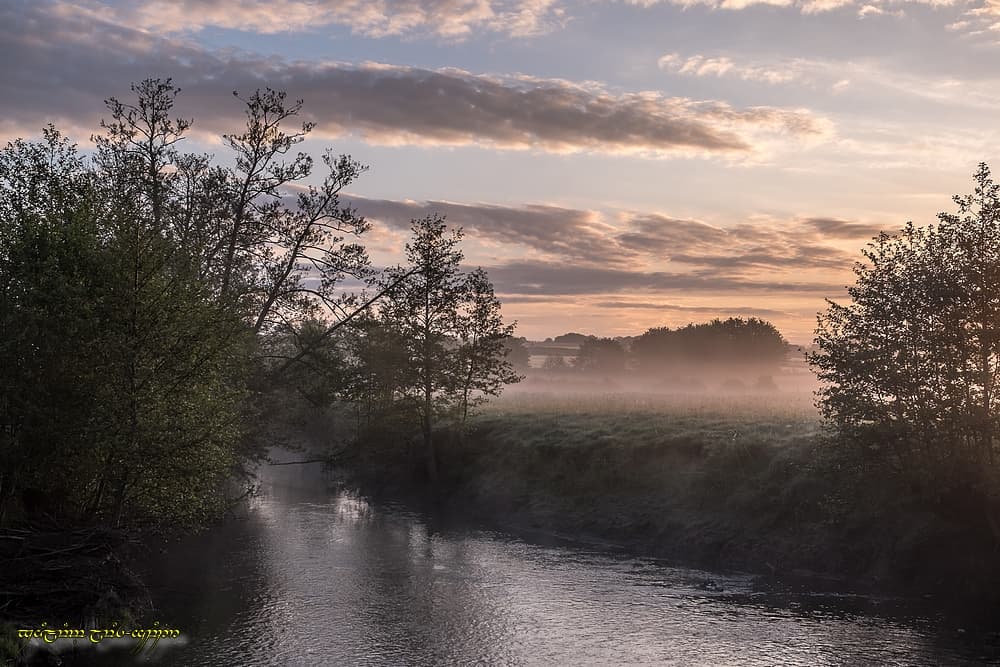 Brume au bord de la rivière
