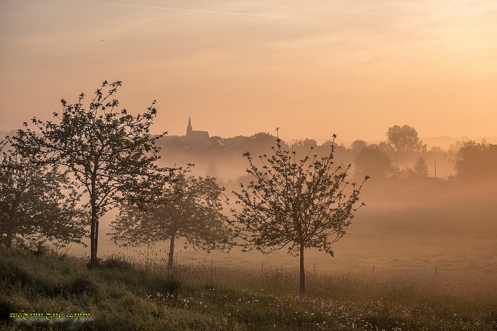 Brume cuivrée