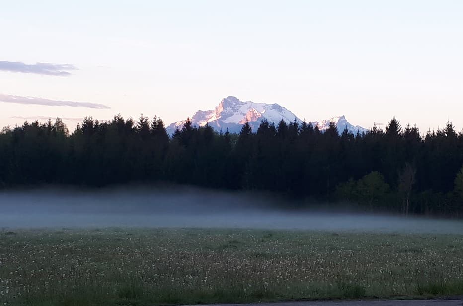 Brume matinale