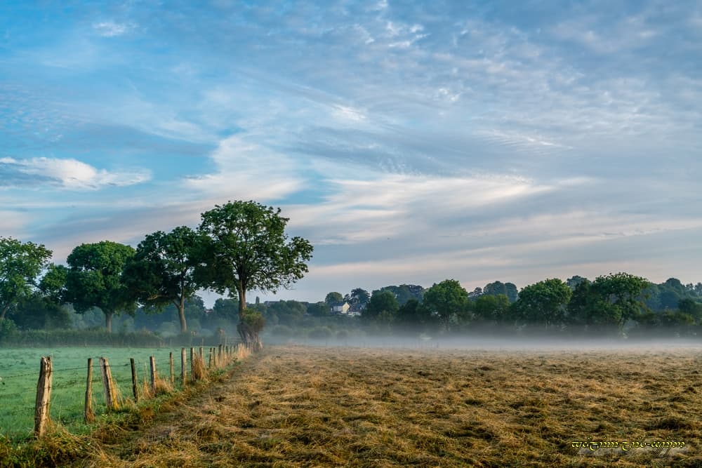 Bocage serein
