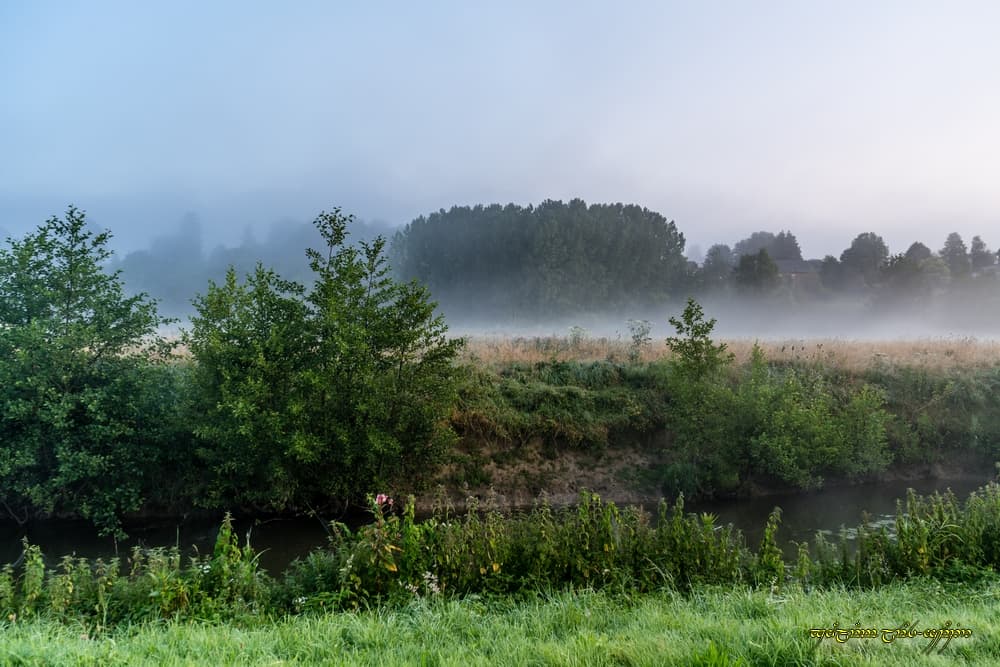 Brumescence près de la rivière